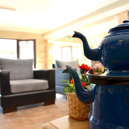 Elite Center فندق